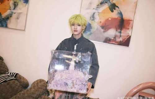 张泽禹回应演唱会未染发|TOP登陆少年|头发