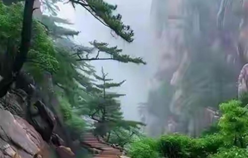 真正合格的父亲，就三个核心：第一，克制 第二，共情 第三，责任
