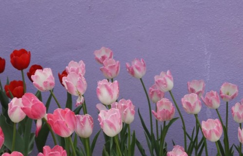 和和气气的，比什么都重要