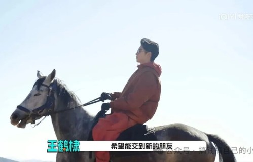 王鹤棣参加《宇宙闪烁请注意》,嘉宾阵容狠狠期待住了!