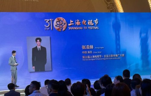 张凌赫为什么能成为白玉兰青年推广大使？