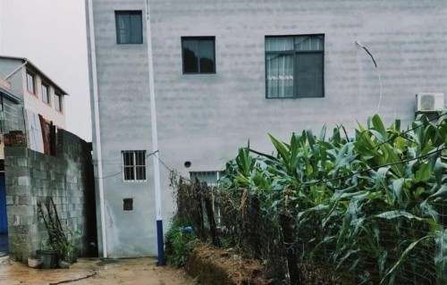 你信吗？农村婚恋观念大变样，有两个儿子家庭不用攒彩礼了