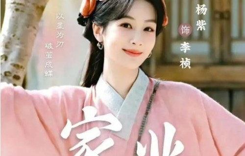 央视首播,《家业》终于要播了,杨紫、韩东君领衔,非遗+商战新题材|延禧攻略|大生意人|华策影视|国民生活剧|暧昧