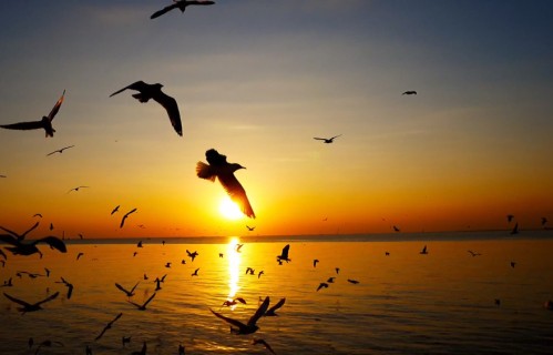 有没有觉得父母辈可能都有心理问题？撕开代际矛盾背后的真相