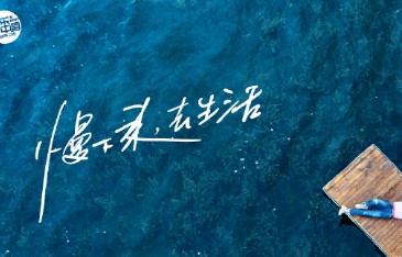 亲爱的·客栈(湖南卫视真人秀节目第一季)_搜狗百科|亲爱的客栈|阚清子|刘涛|嘉宾|女演员