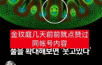 如何判断明星点赞同帖是巧合还是刻意互动？