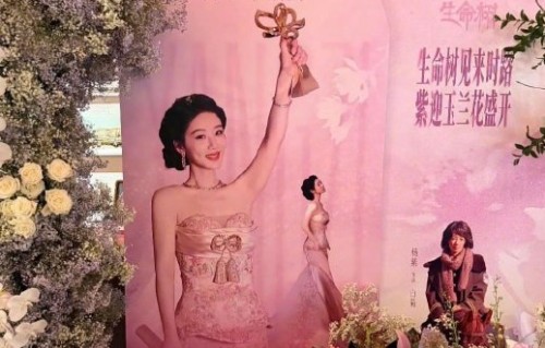 为什么说杨紫白玉兰获奖是实至名归？