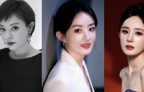 白玉兰奖花落谁家？杨幂孙俪争霸，杨紫就连提名呼声都小到可怜