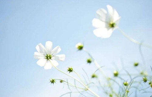 生理性喜欢藏不住，真正的心动，从来都是身体先诚实