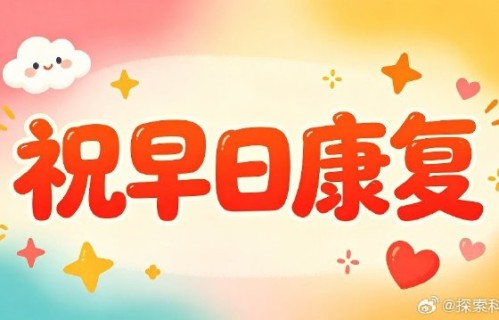 对于金莎这次受伤，节目组在安全防护方面有哪些措施？