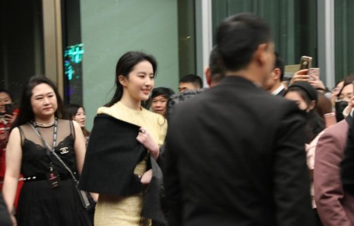 刘亦菲两次精准认出20年老粉主动握手：真心换真心，不是说说而已