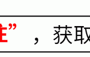 央媒怒批！目不识丁，出尽洋相，这5位“绝望文盲”到底凭啥走红 