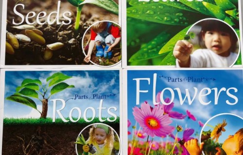 乌兰图雅的谐音学习法为什么能引发这么多网友的共鸣？|涂鸦|时代|手稿|英语|全民