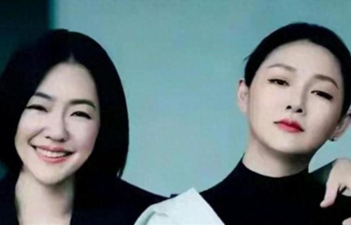 大S广告未下架，玥儿姐弟一分未得，小S还想把姐姐画像卖了赚钱