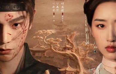 观众如何评价《花开锦绣》的敦煌实景画面