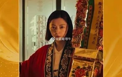 卫诗雅获得过哪些音乐奖项？
