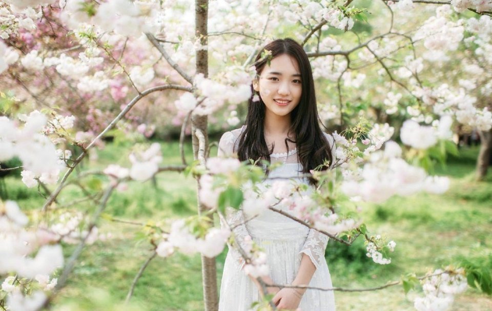 本次入围的华语电影,如《森中有林》《今晚正好》《余烬》,主要讲什么内容?