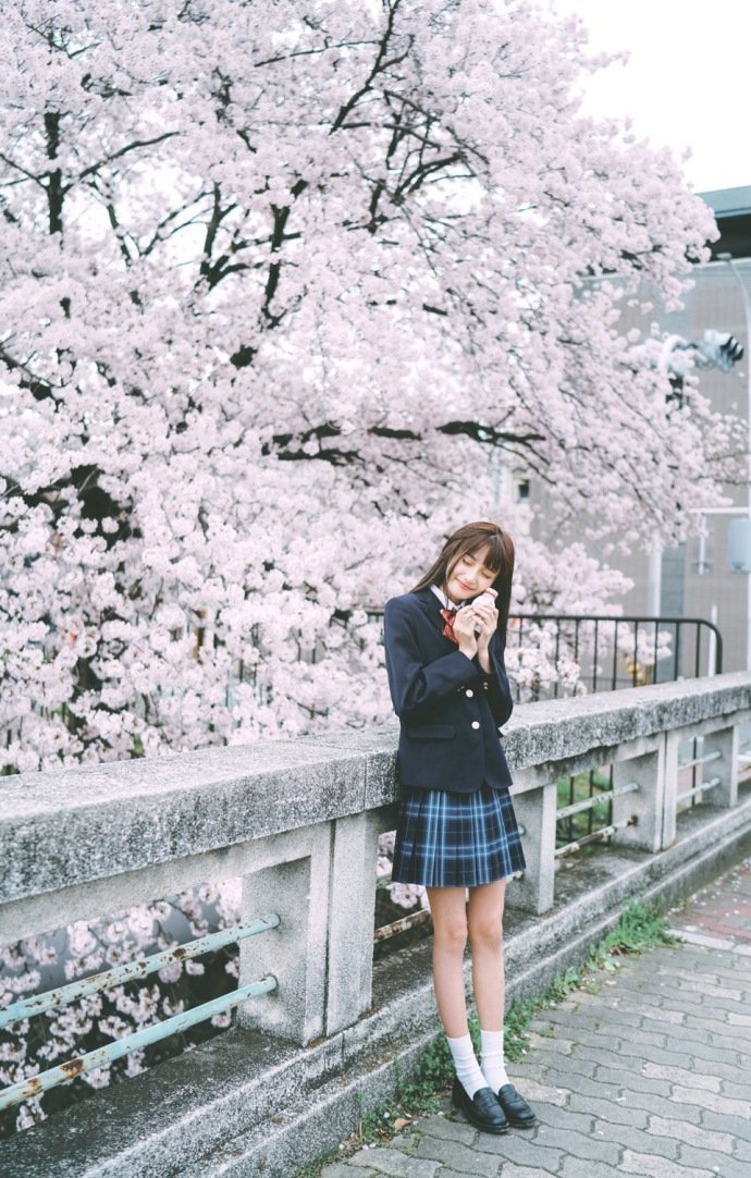 陈晓大男主光环太强,演技不错但收视号召力一般