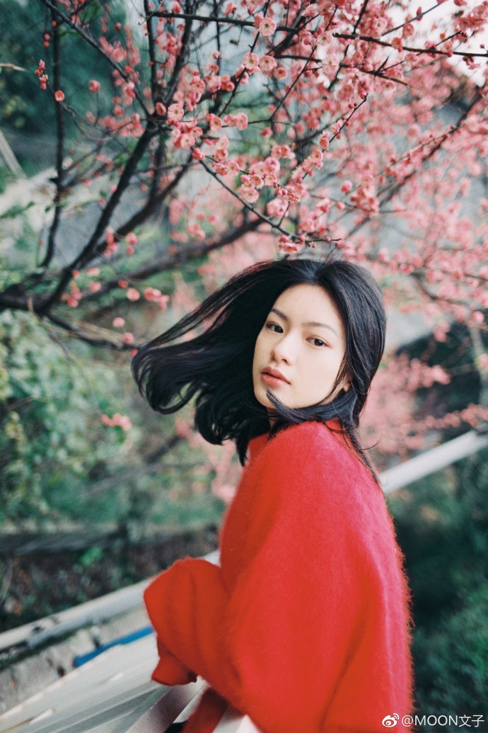 曾沛慈的情怀牌在浪姐7中，是否能复制王心凌的成功路径？