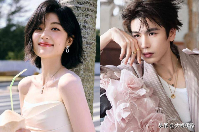  更有趣的是，《许你星河千里》原本锁定的是敖瑞鹏。敖瑞鹏在上一部《朝雪录》中表现出色，悬疑古装剧的经验也十分契合角色。但随着张凌赫凭《逐玉》爆红，他的商业号召力迅速提升，而该剧又涉及远赴新疆的拍摄，需要大量资金支持，剧组综合考虑后，更看重张凌赫的招商能力以及更贴合角色的体格优势。两大因素最终让张凌赫成功取代敖瑞鹏，成为新剧的核心担当，也让观众对《许你星河千里》的期待值进一步攀升。